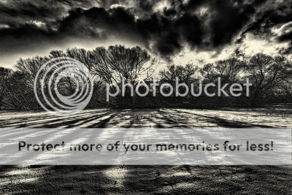 IMAGE: http://i546.photobucket.com/albums/hh416/clpeay/1-Edit.jpg