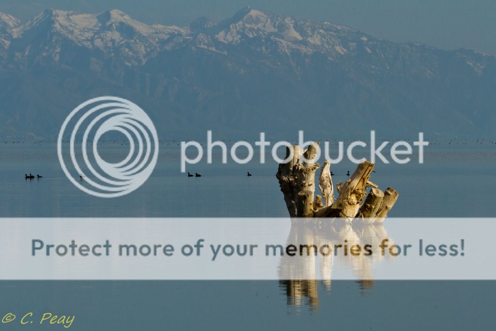 IMAGE: http://i546.photobucket.com/albums/hh416/clpeay/IMG_0304.jpg