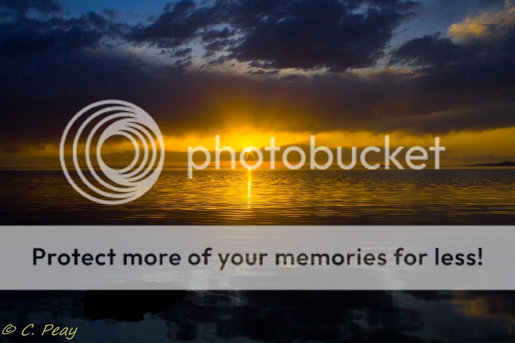 IMAGE: http://i546.photobucket.com/albums/hh416/clpeay/IMG_0591.jpg