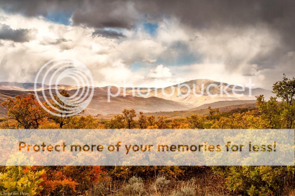 IMAGE: http://i546.photobucket.com/albums/hh416/clpeay/IMG_1338-Edit_zps21abff67.jpg