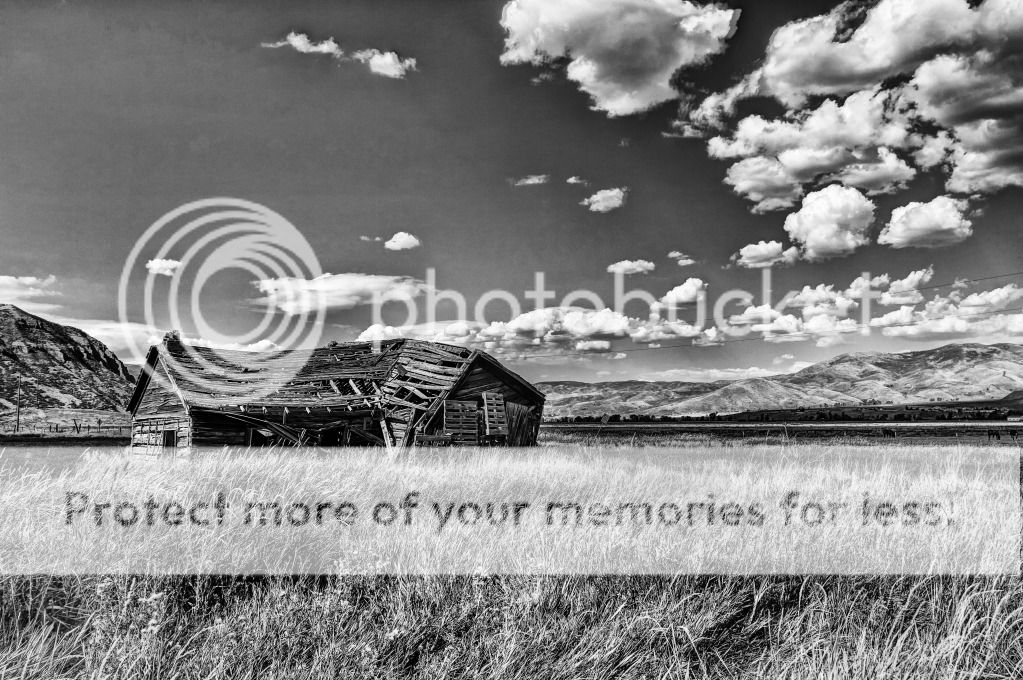 IMAGE: http://i546.photobucket.com/albums/hh416/clpeay/IMG_2405-Edit_6-Edit_7-Edit_fused-Edit.jpg