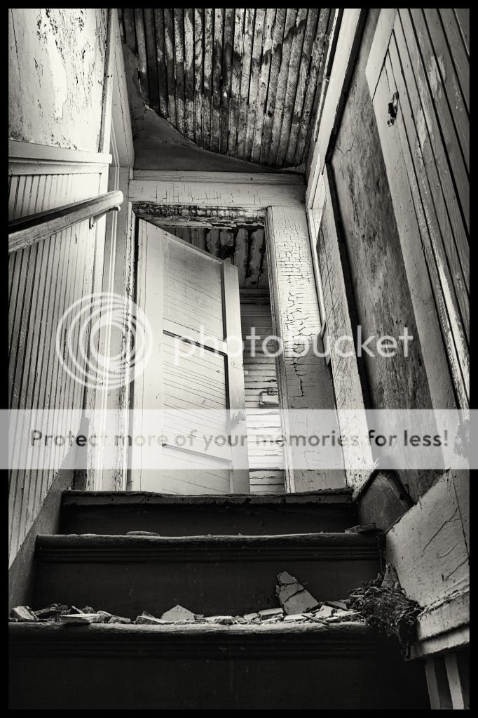 IMAGE: http://i546.photobucket.com/albums/hh416/clpeay/IMG_2548-Edit-Edit_zps43ee1e1f.jpg