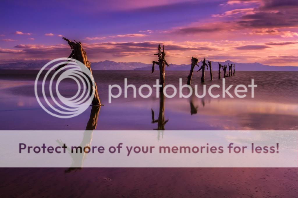 IMAGE: http://i546.photobucket.com/albums/hh416/clpeay/IMG_2622-Edit-Edit-Edit_zps6e863ce1.jpg