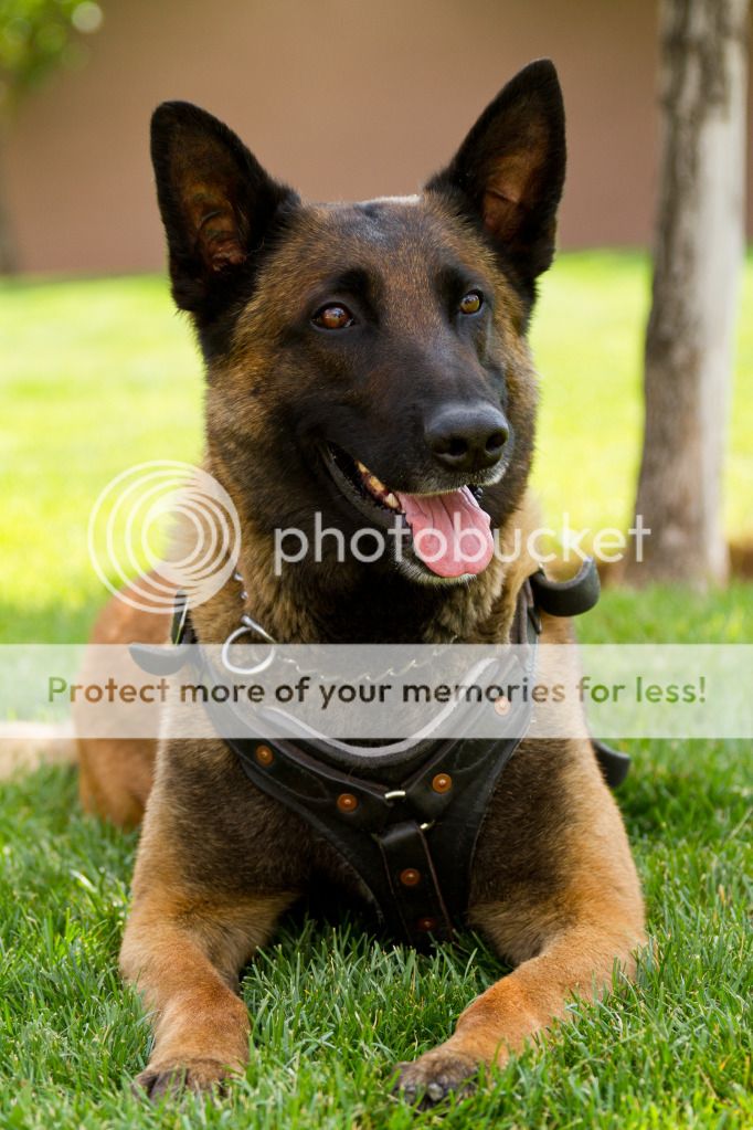 IMAGE: http://i546.photobucket.com/albums/hh416/clpeay/IMG_2787.jpg