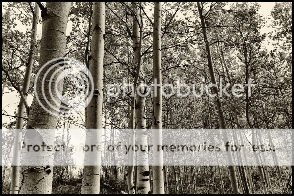 IMAGE: http://i546.photobucket.com/albums/hh416/clpeay/IMG_2864-Edit-Edit-2.jpg