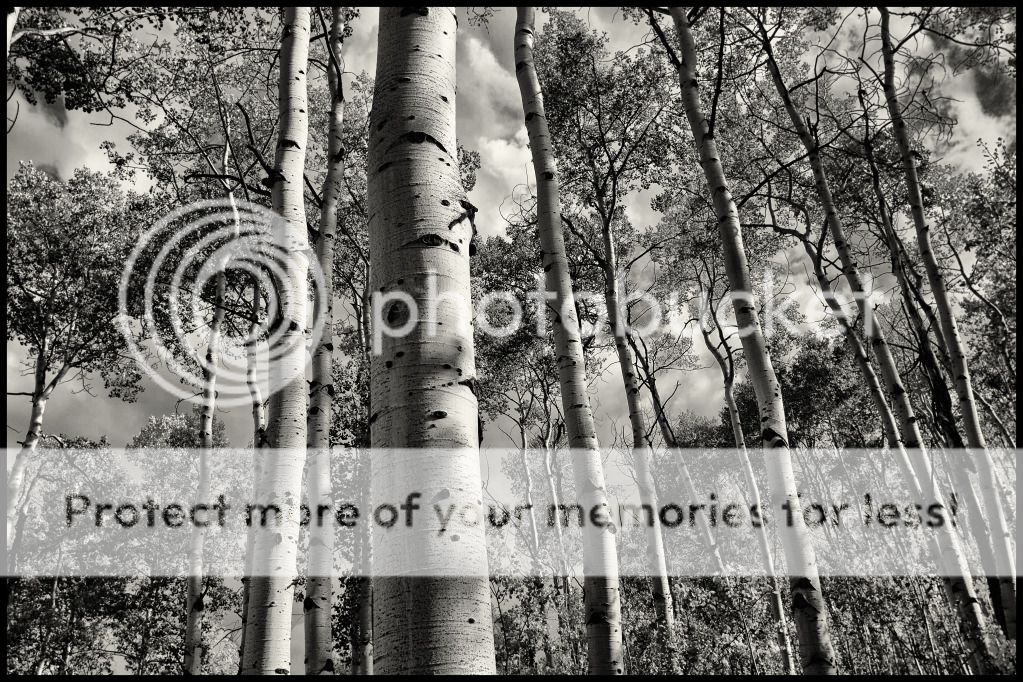 IMAGE: http://i546.photobucket.com/albums/hh416/clpeay/IMG_2868-Edit-Edit.jpg