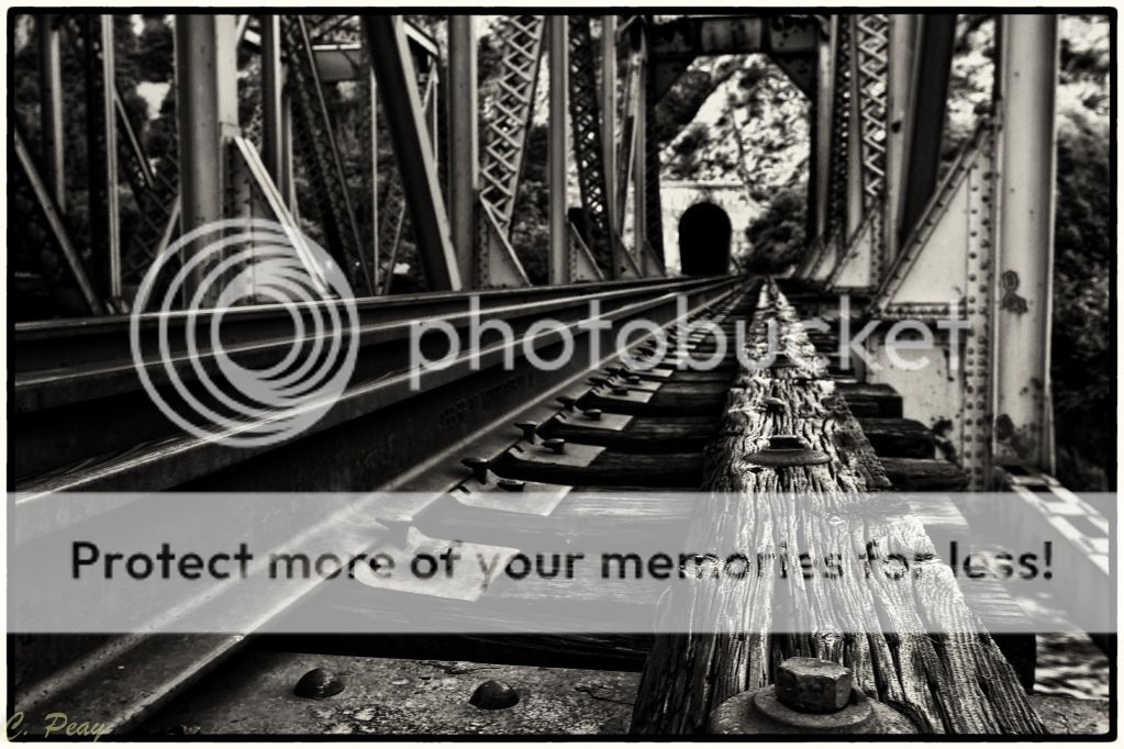 IMAGE: http://i546.photobucket.com/albums/hh416/clpeay/IMG_3154-Edit-Edit-2.jpg