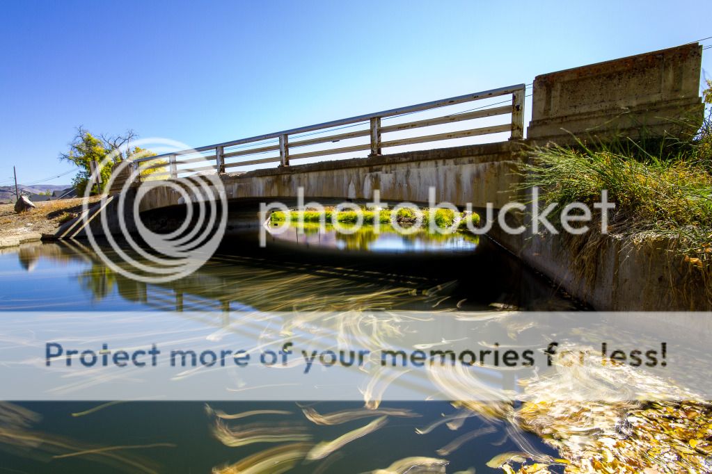 IMAGE: http://i546.photobucket.com/albums/hh416/clpeay/IMG_3729.jpg