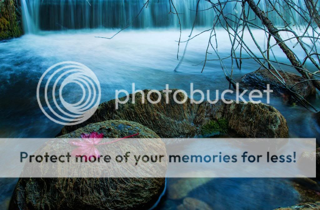 IMAGE: http://i546.photobucket.com/albums/hh416/clpeay/IMG_5931-Edit-Edit-Edit-2_zpse3461db1.jpg