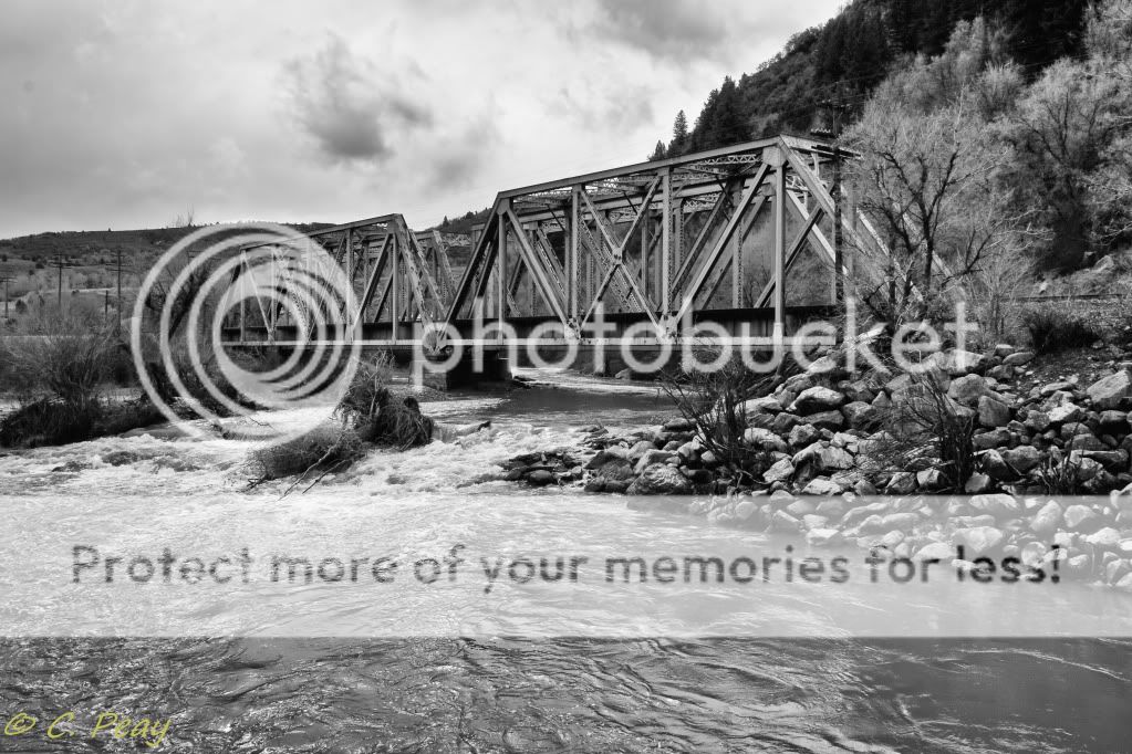 IMAGE: http://i546.photobucket.com/albums/hh416/clpeay/_MG_0081-Edit.jpg