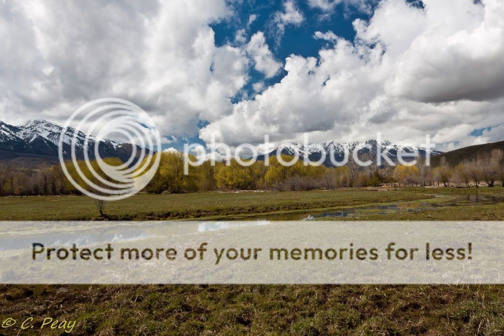 IMAGE: http://i546.photobucket.com/albums/hh416/clpeay/_MG_1445.jpg