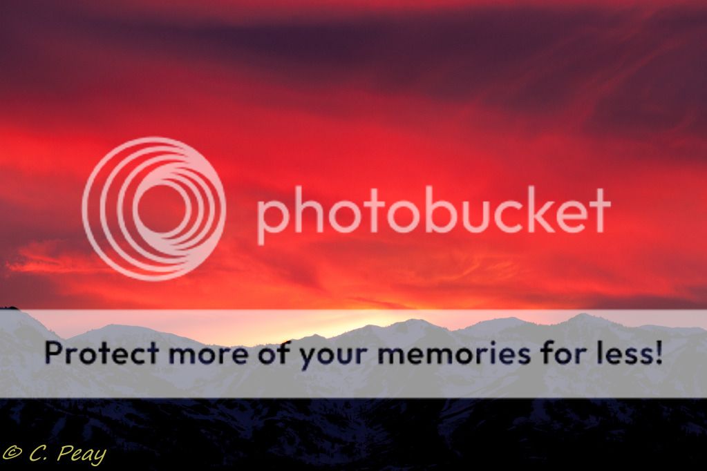 IMAGE: http://i546.photobucket.com/albums/hh416/clpeay/_MG_1564.jpg