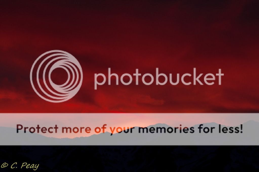 IMAGE: http://i546.photobucket.com/albums/hh416/clpeay/_MG_1569-1.jpg