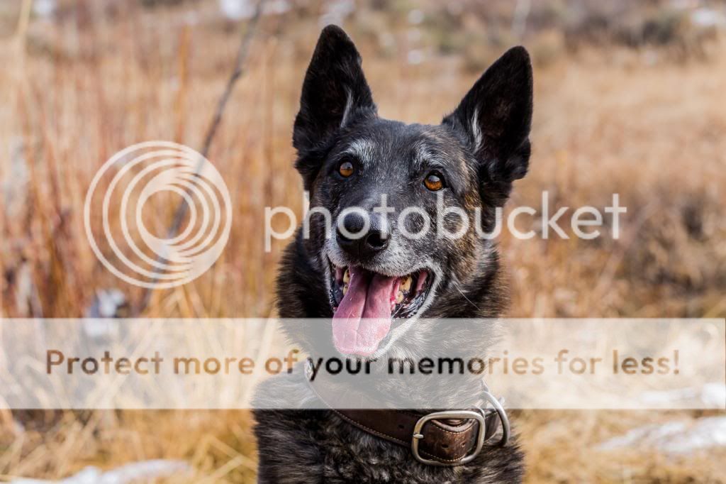 IMAGE: http://i546.photobucket.com/albums/hh416/clpeay/_MG_2674_zps69bdf8d9.jpg