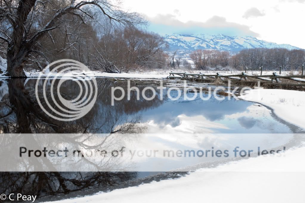 IMAGE: http://i546.photobucket.com/albums/hh416/clpeay/_MG_7602.jpg