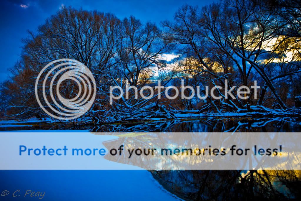 IMAGE: http://i546.photobucket.com/albums/hh416/clpeay/_MG_7607-6.jpg