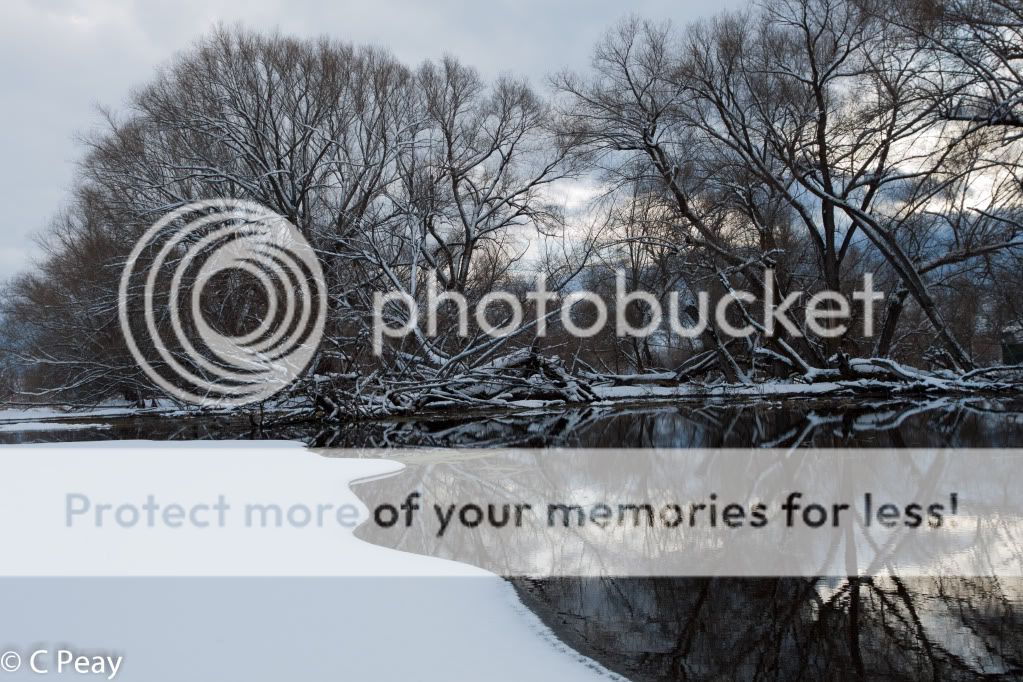 IMAGE: http://i546.photobucket.com/albums/hh416/clpeay/_MG_7607.jpg