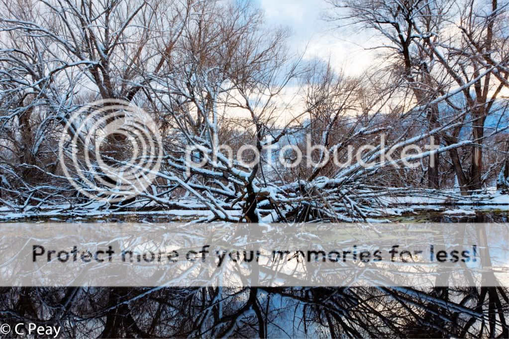 IMAGE: http://i546.photobucket.com/albums/hh416/clpeay/_MG_7619_tonemapped.jpg