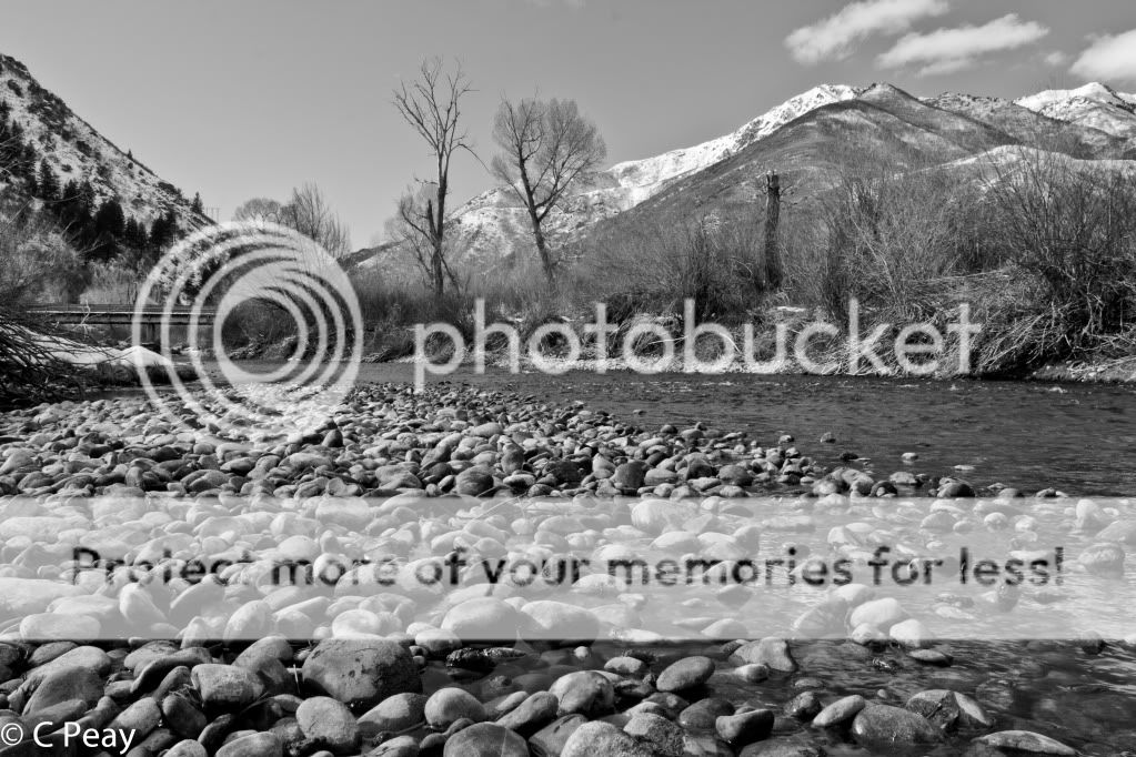 IMAGE: http://i546.photobucket.com/albums/hh416/clpeay/_MG_8063-2.jpg