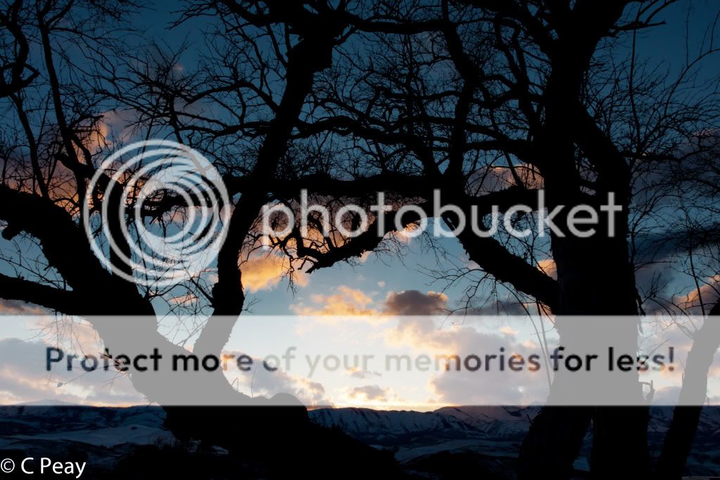 IMAGE: http://i546.photobucket.com/albums/hh416/clpeay/_MG_8325.jpg