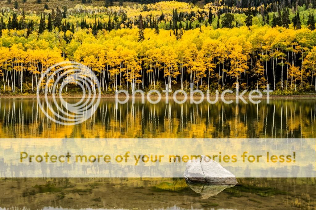 IMAGE: http://i546.photobucket.com/albums/hh416/clpeay/_MG_8517-Edit_zps210e13b6.jpg