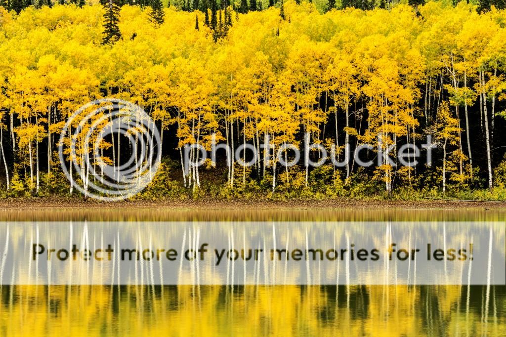 IMAGE: http://i546.photobucket.com/albums/hh416/clpeay/_MG_8526-Edit_zps51bee897.jpg