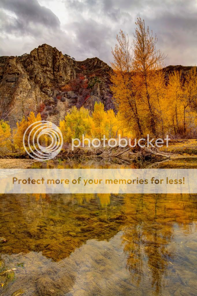 IMAGE: http://i546.photobucket.com/albums/hh416/clpeay/fall.jpg