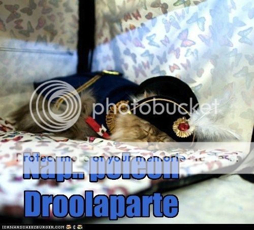 nap-poleon.jpg