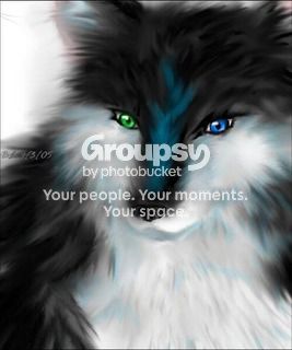 User Image
