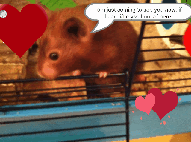 030-6-1.gif